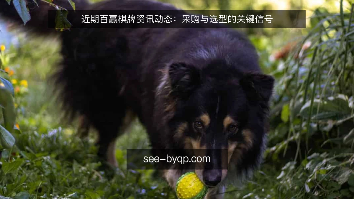 近期百赢棋牌资讯动态:采购与选型的关键信号
